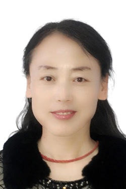 金子环