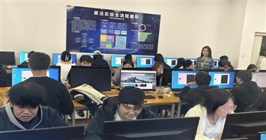 码力争锋・算法逐光 —河北科技学院码蹄杯程序设计大赛圆满落幕